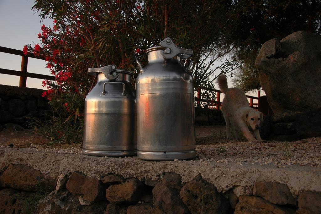 Agriturismo Codula Fuili 칼라고노네 외부 사진