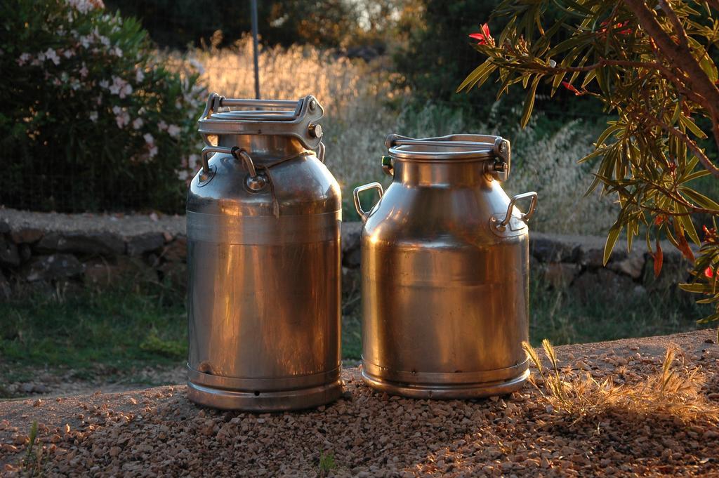 Agriturismo Codula Fuili 칼라고노네 외부 사진